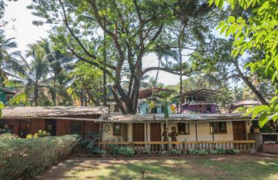 Eco-friendly Home Improvements for Sustainable Living